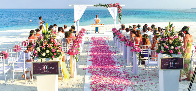 Beach Wedding